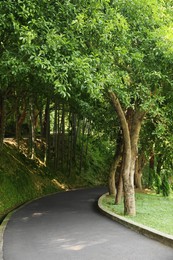 Photo of View of pathway and trees in park