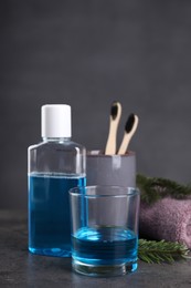 Photo of Fresh mouthwash in glass, bottle and fir branch on dark textured table, closeup