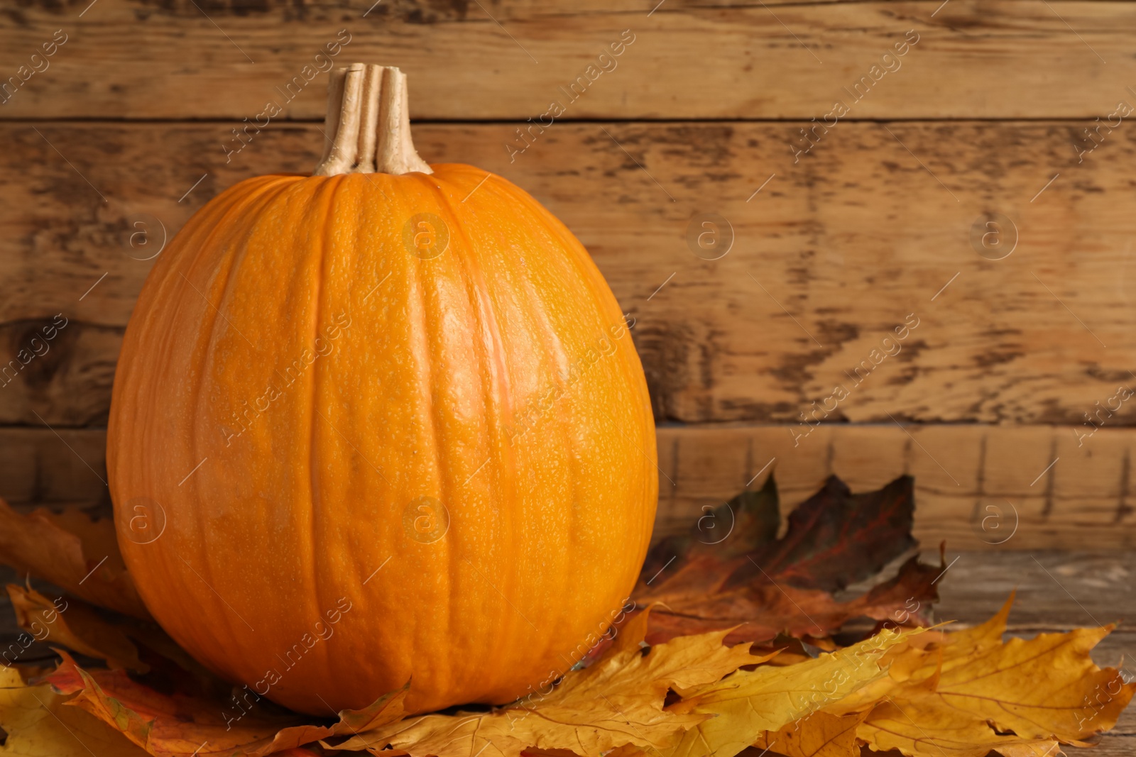 Photo of Fresh ripe pumpkin and dry leaves on wooden table, space for text