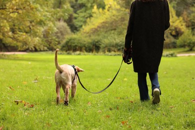 Photo of Woman with adorable Labrador Retriever puppy walking outdoors, closeup