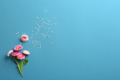 Photo of Flat lay composition with spring daisy flowers and space for text on color background