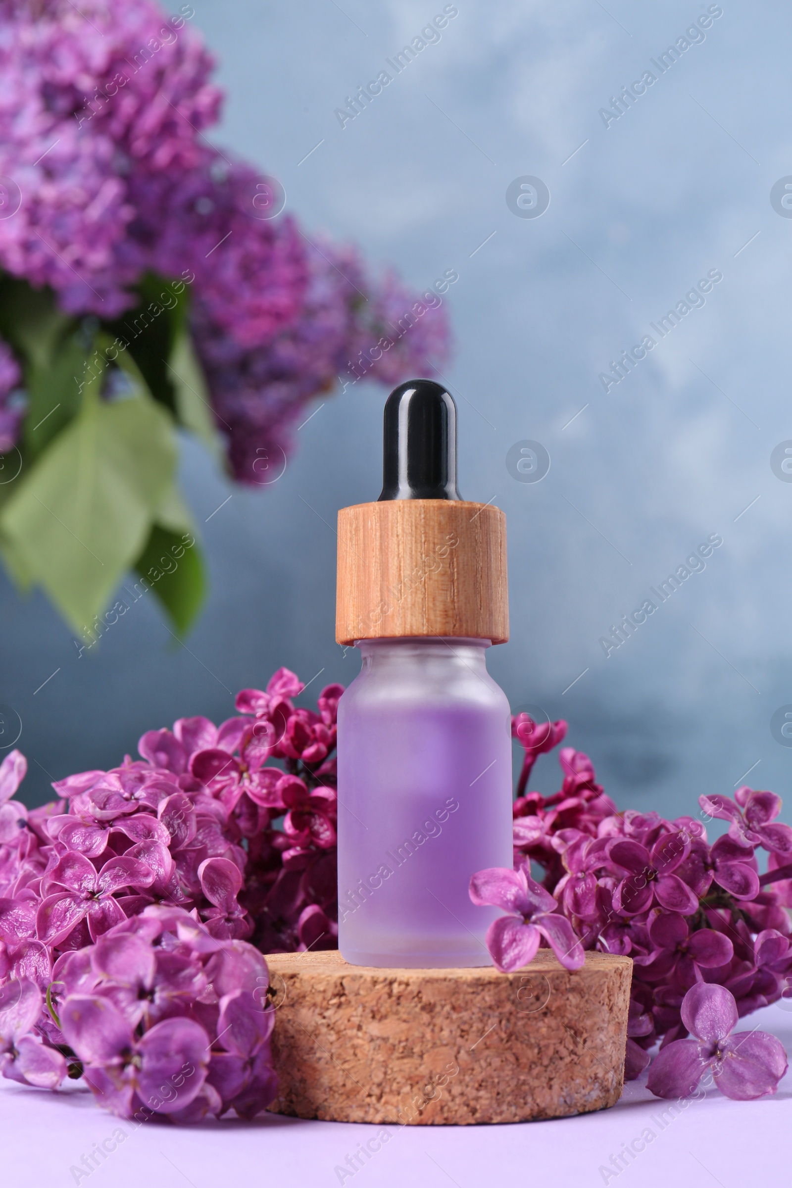 Photo of Bottle with essential oil and lilac flowers on violet background