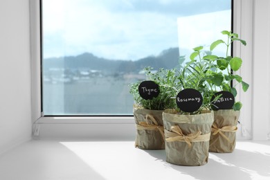 Different fresh potted herbs on windowsill indoors. Space for text