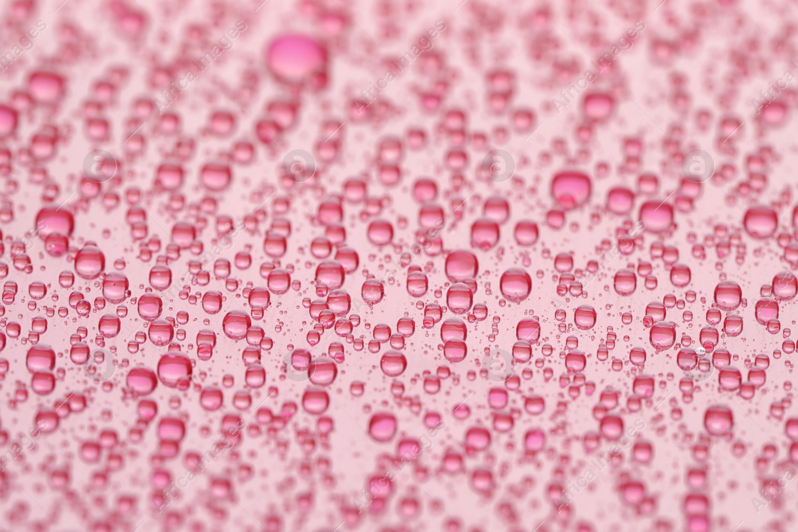 Photo of Water drops on pink background, closeup view