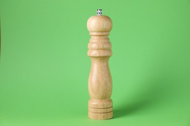 Photo of One light wooden shaker on green background