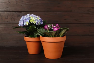 Different beautiful blooming plants in flower pots on wooden table