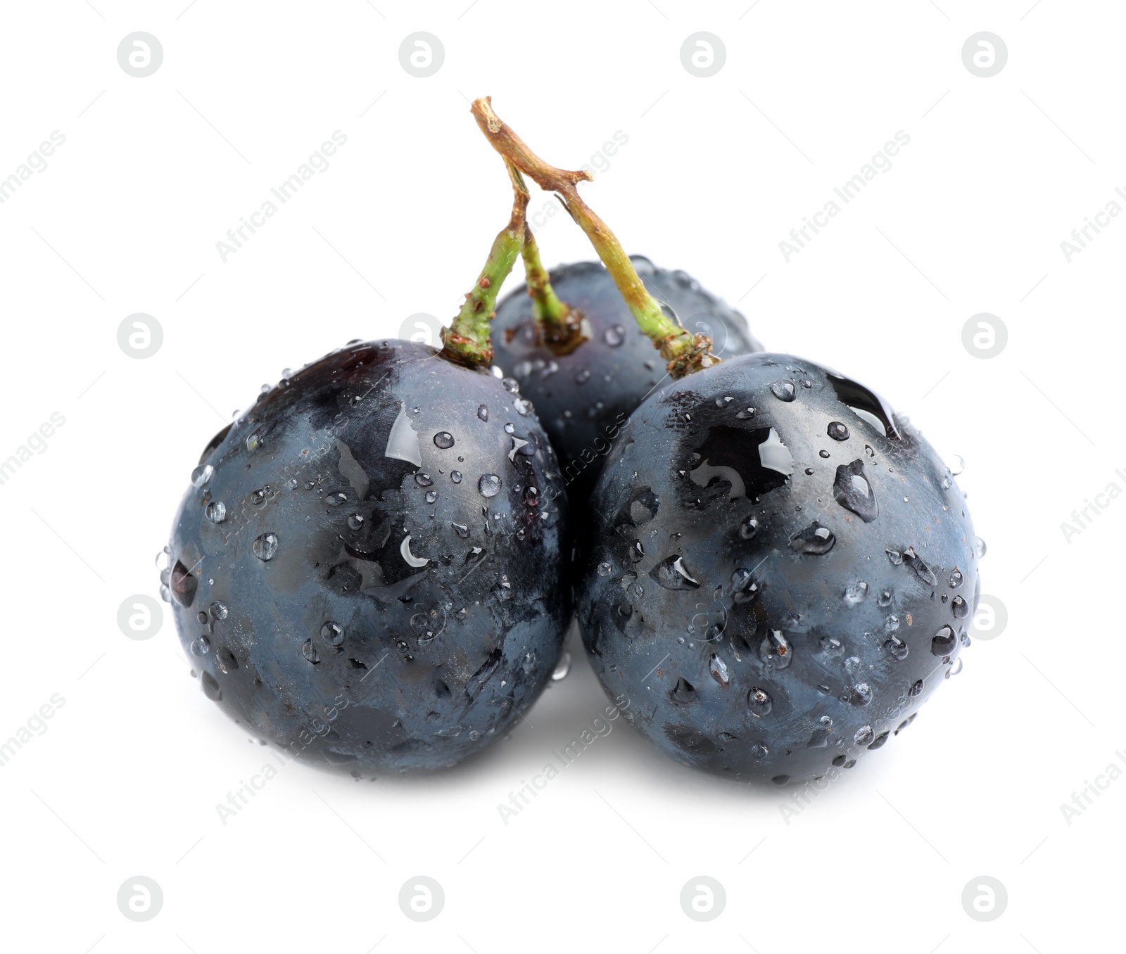 Photo of Fresh ripe juicy black grapes isolated on white