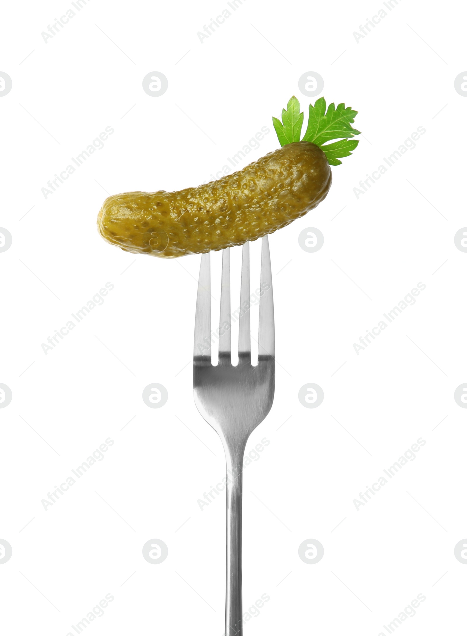 Photo of Fork with tasty pickled cucumber and parsley isolated on white