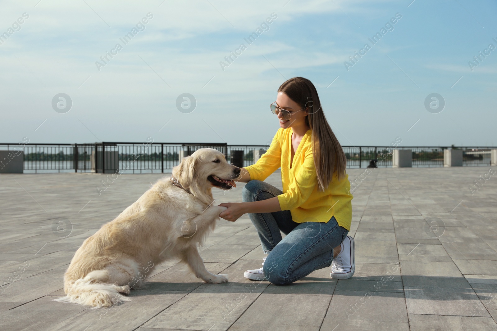 Photo of Cute golden retriever dog giving paw to young woman on pier