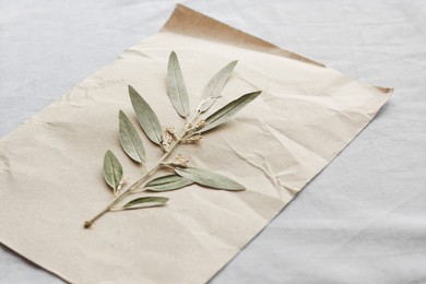 Photo of Sheet of paper with dried green leaves on white fabric, closeup