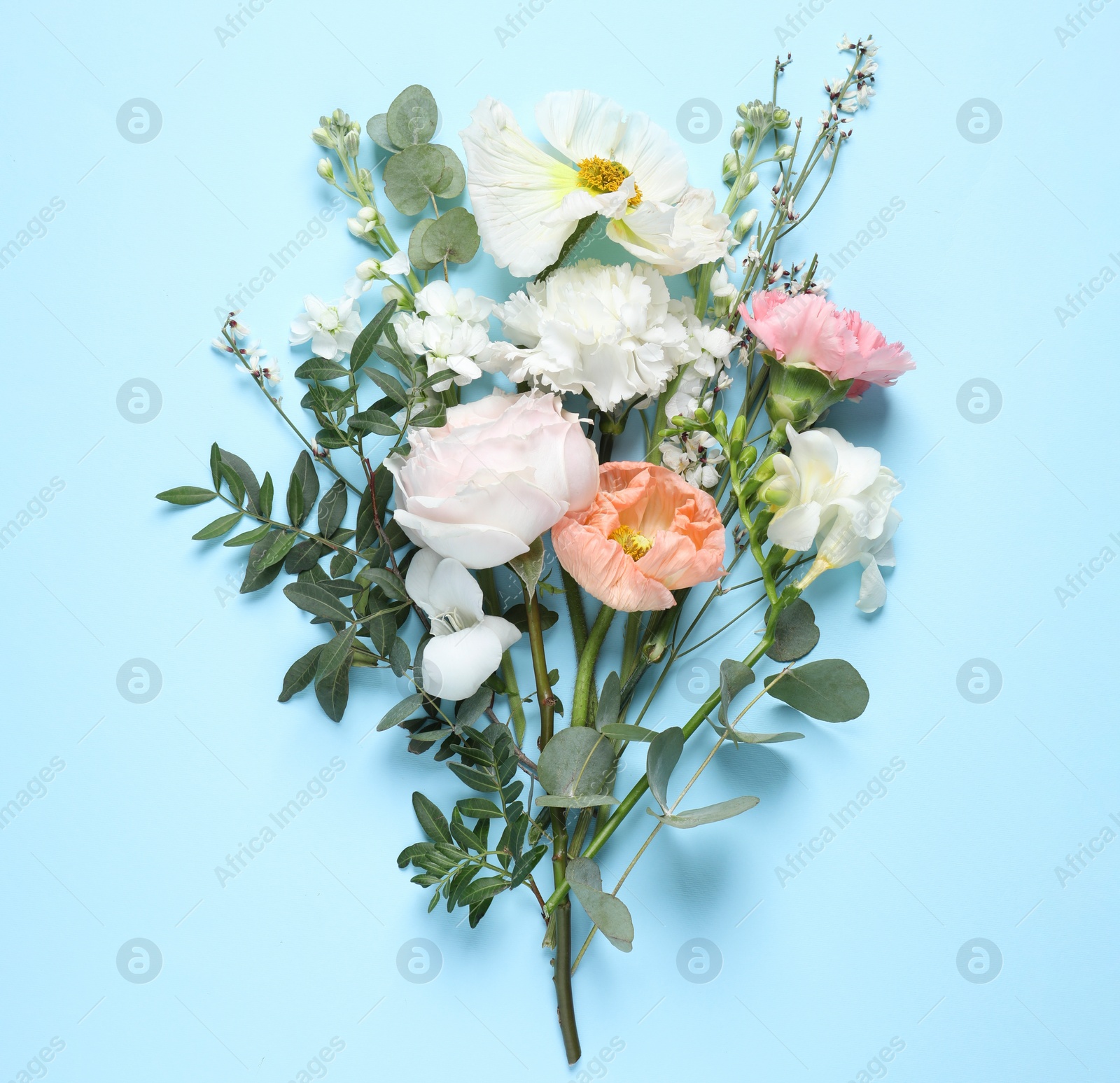 Photo of Different beautiful flowers on light blue background, flat lay