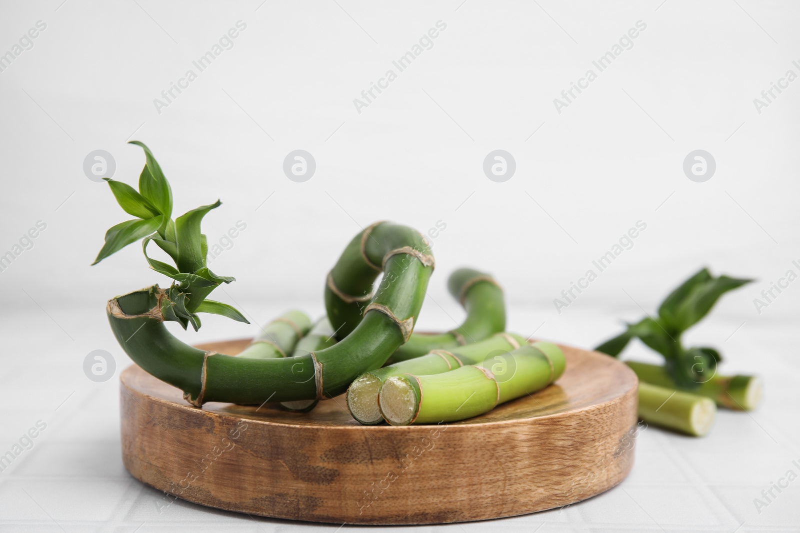 Photo of Pieces of beautiful green bamboo stems on white background