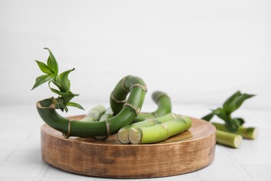 Photo of Pieces of beautiful green bamboo stems on white background