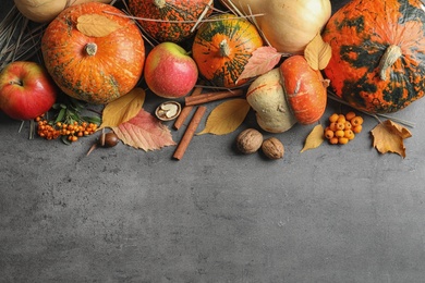 Different pumpkins on gray background, flat lay composition with space for text. Autumn holidays