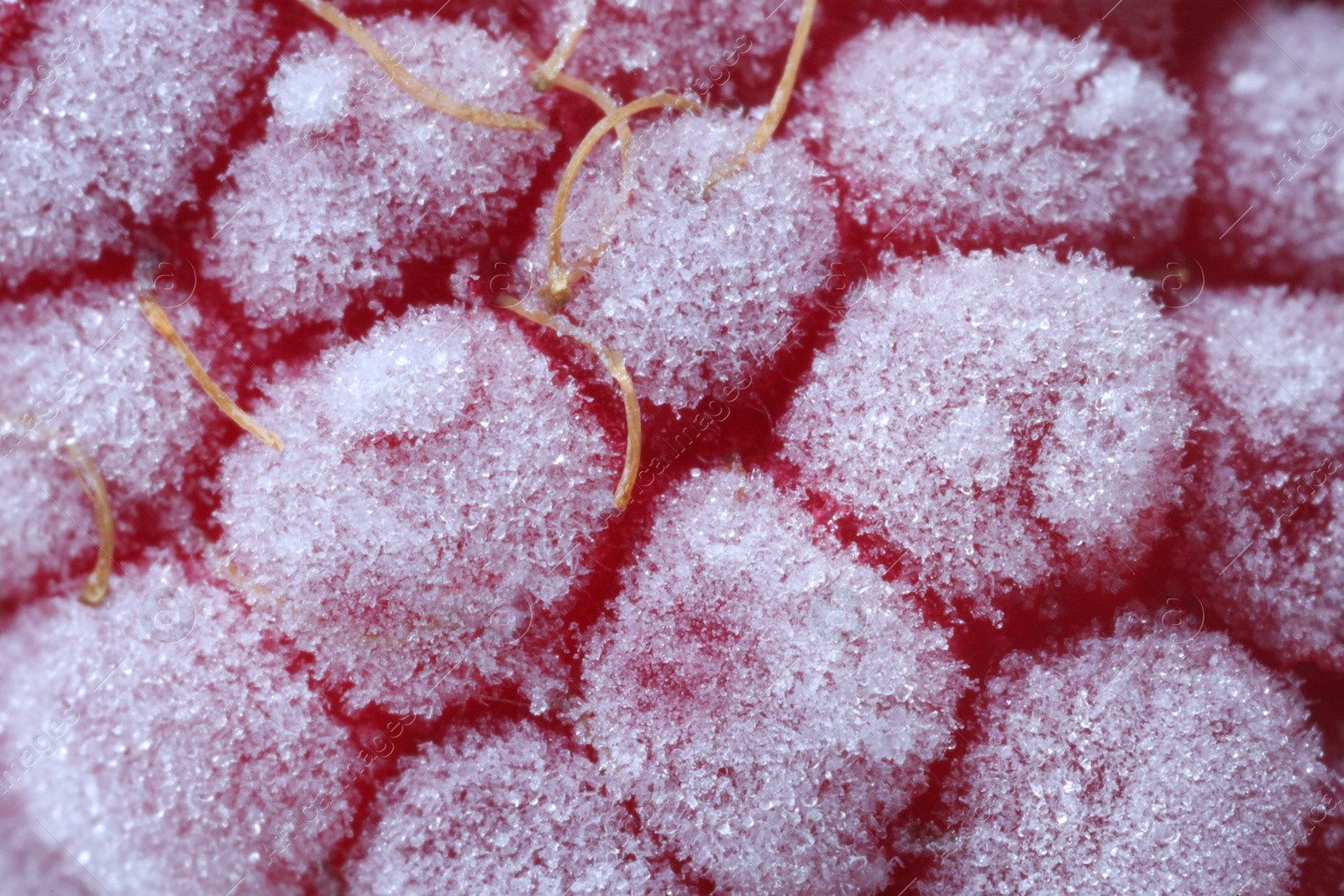 Photo of Texture of frozen ripe raspberry, macro view