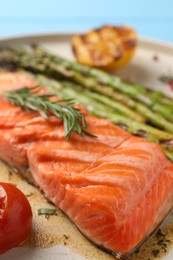 Tasty grilled salmon with rosemary on plate, closeup