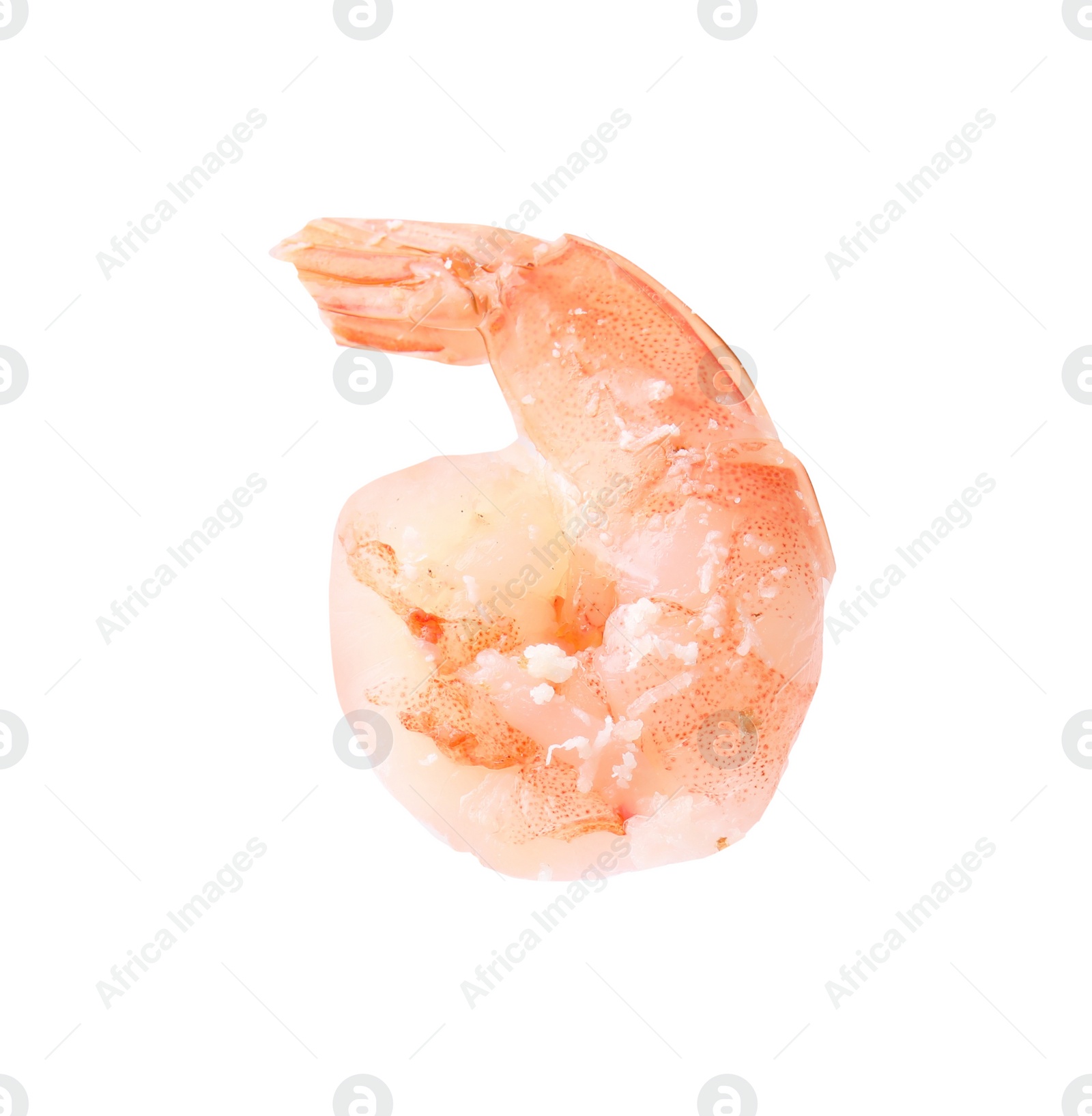 Photo of One tasty boiled shrimp isolated on white