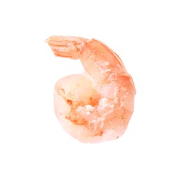 Photo of One tasty boiled shrimp isolated on white