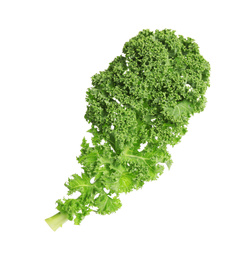 Fresh green kale leaf isolated on white