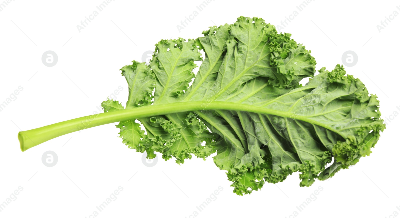 Photo of Fresh green kale leaf isolated on white