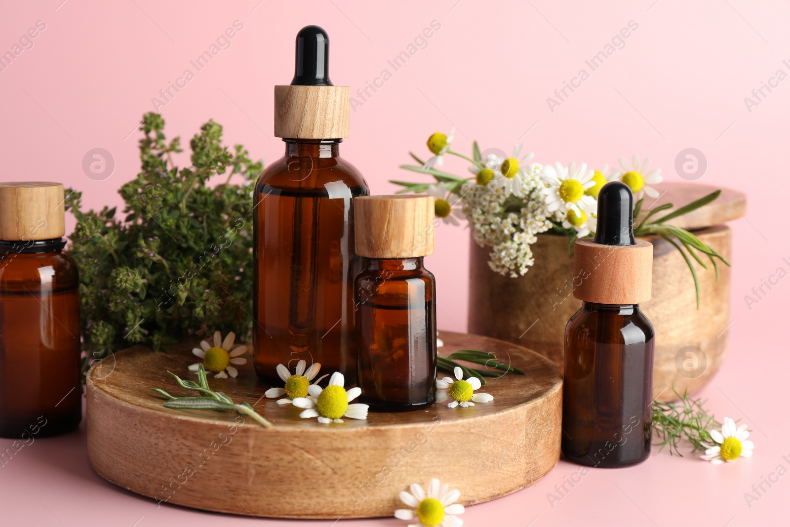 Photo of Aromatherapy. Different essential oils and flowers on pink background