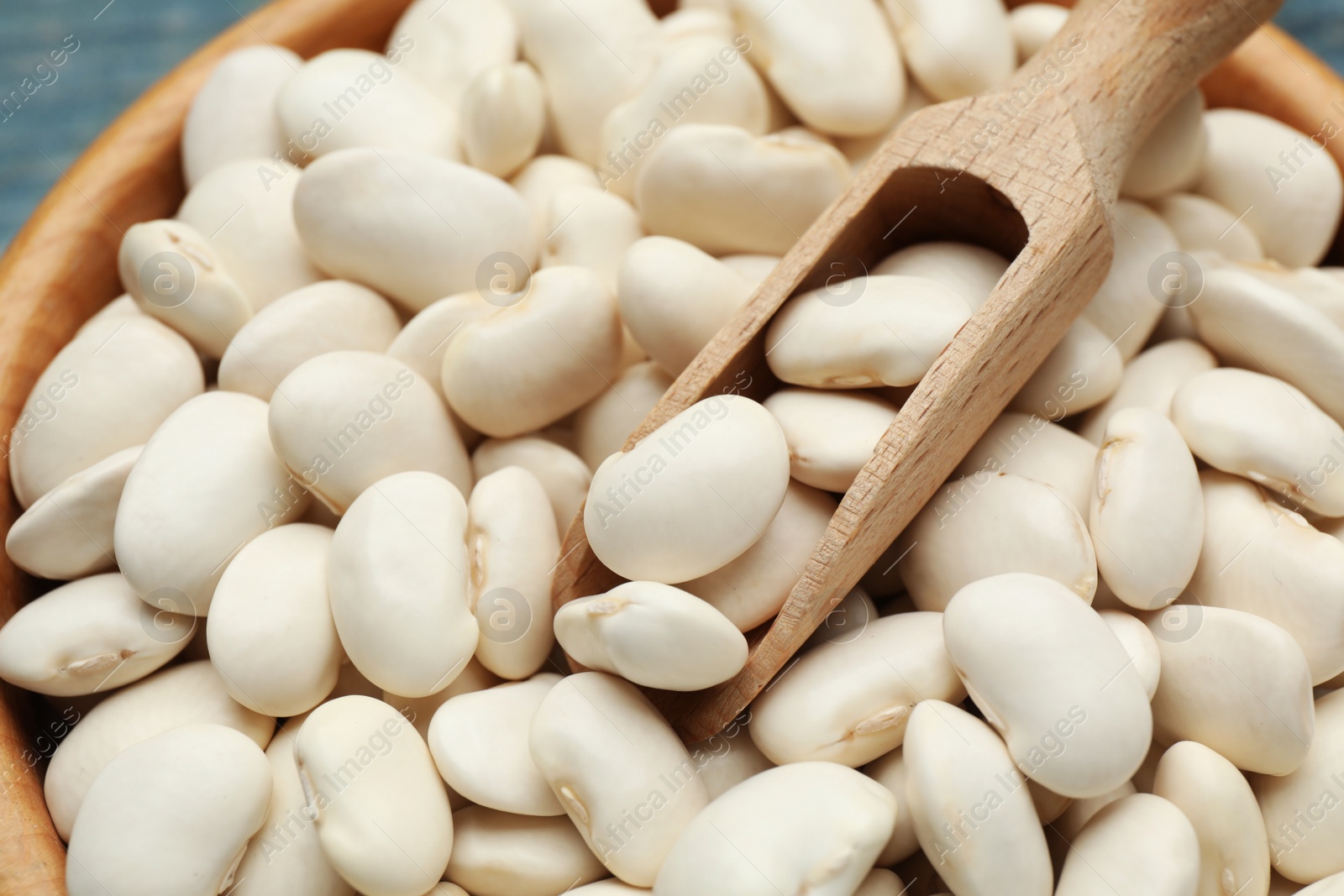 Photo of Bowl and scoop with uncooked white beans, closeup