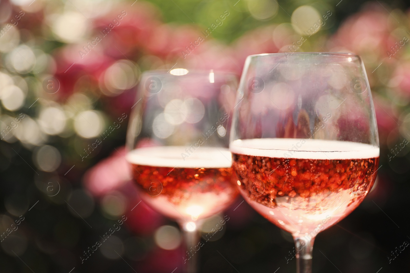 Photo of Glasses of rose wine in blooming garden, closeup. Space for text