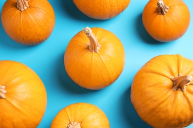 Photo of Fresh ripe pumpkins on blue background, flat lay. Holiday decoration