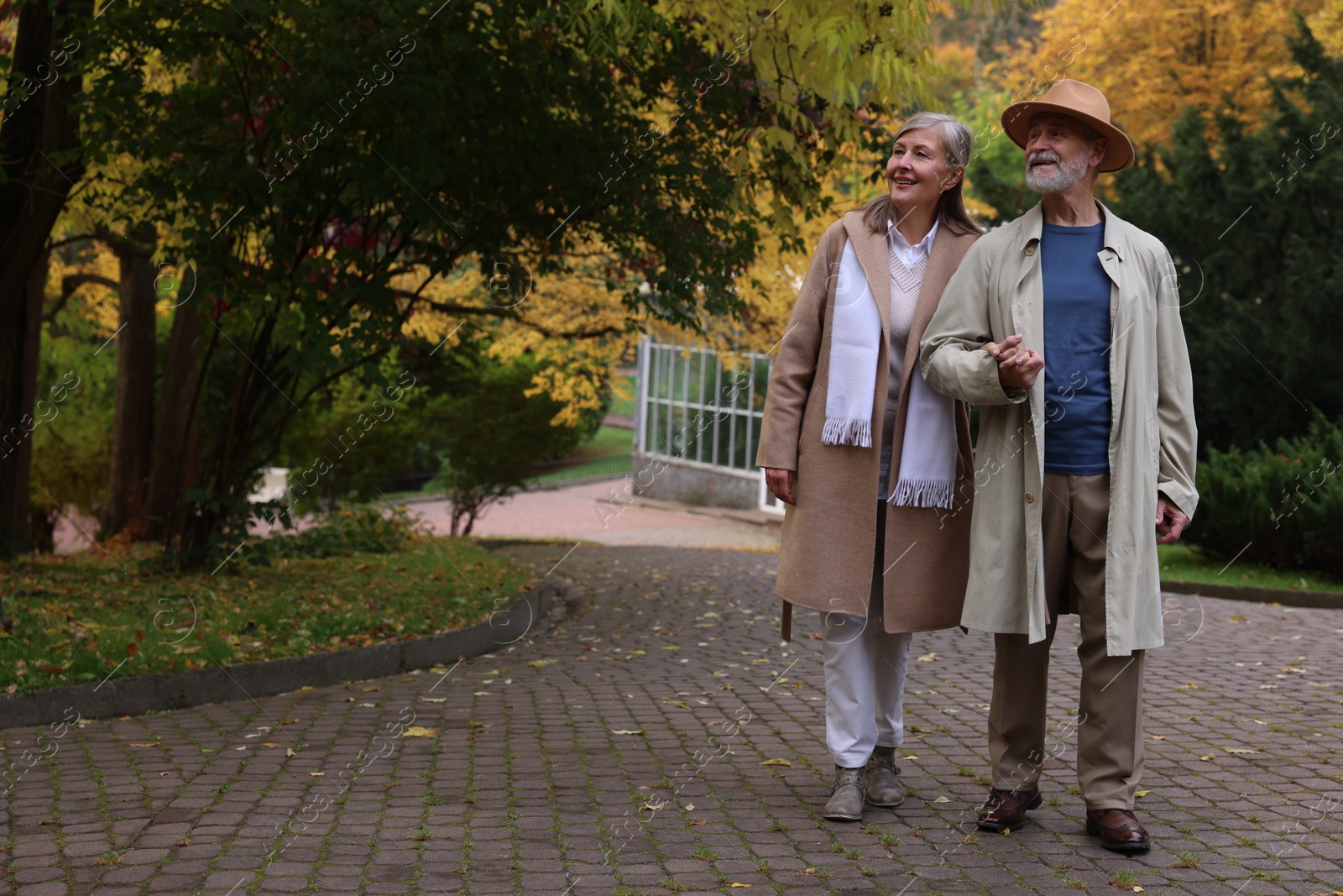 Photo of Affectionate senior couple walking in autumn park, space for text