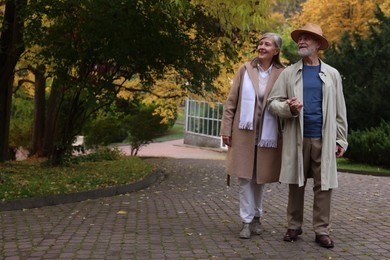Affectionate senior couple walking in autumn park, space for text