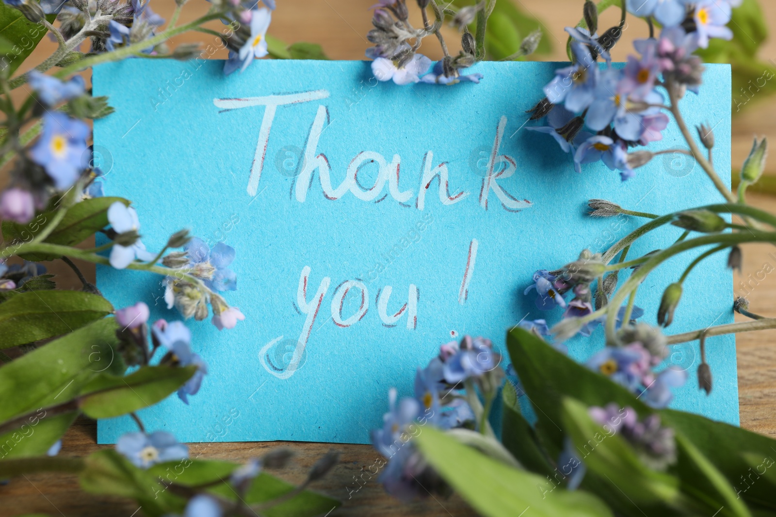 Photo of Card with phrase Thank You and beautiful forget-me-not flowers on table, closeup