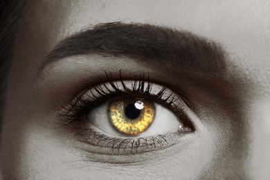 Image of Beautiful woman with rare eye color, closeup