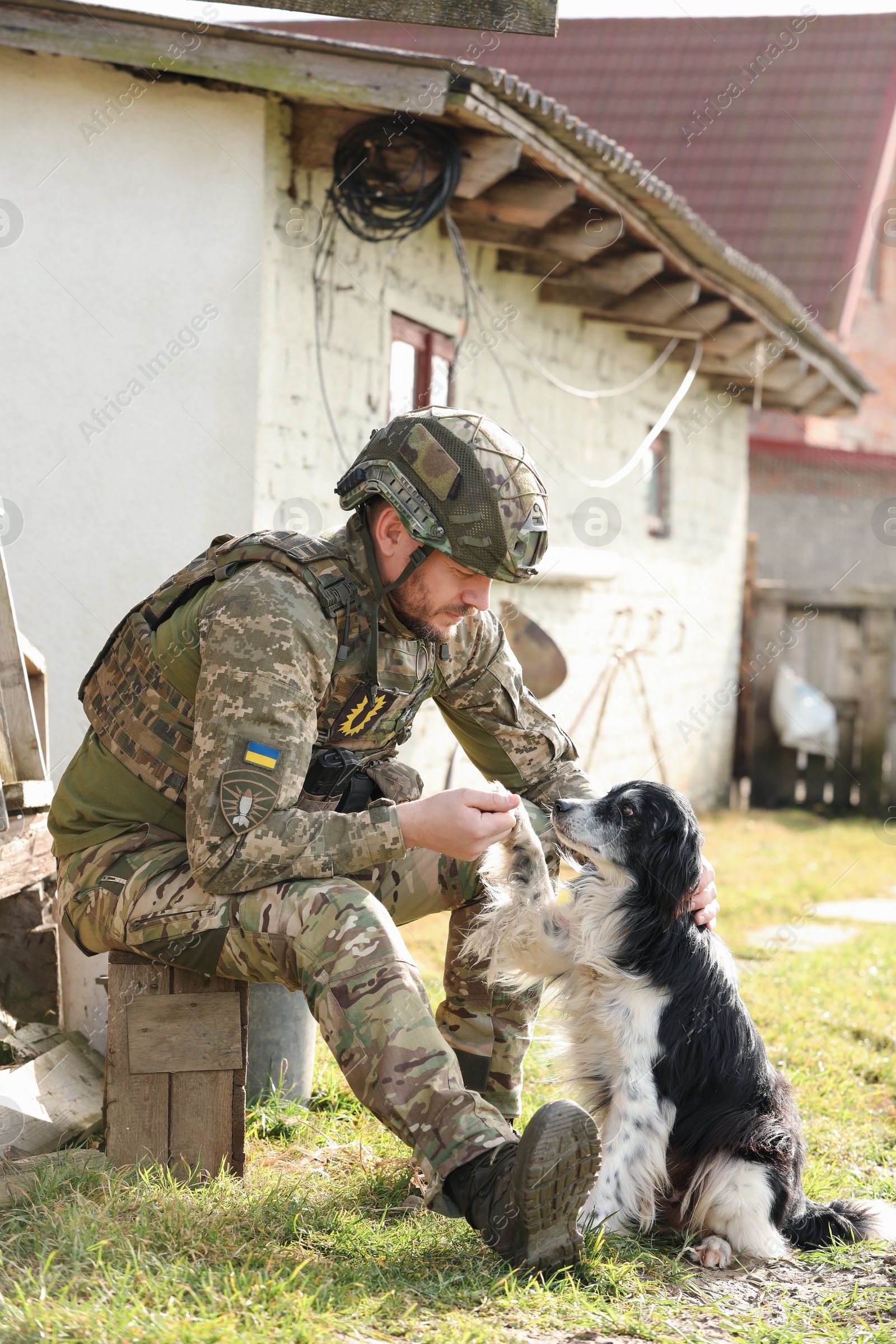 Photo of Stray dog giving paw to Ukrainian soldier outdoors