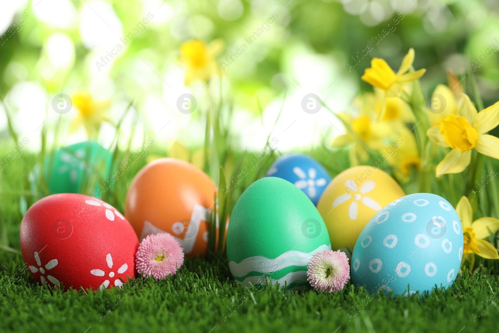 Photo of Colorful Easter eggs and flowers in green grass. Space for text
