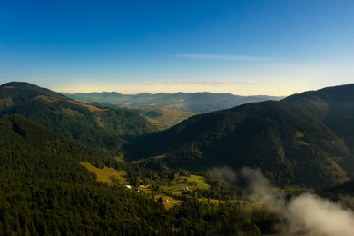 Aerial view of beautiful mountain forest covered with fluffy clouds on sunny day. Drone photography