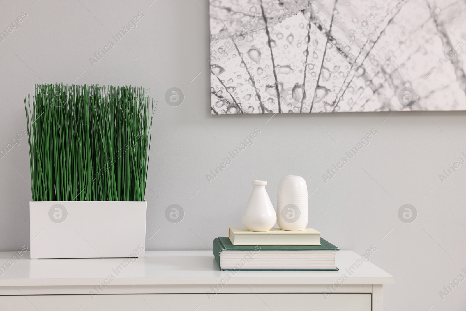 Photo of Potted artificial plant, books and decor on white chest of drawers indoors