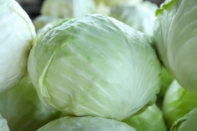 Photo of Pile of ripe white cabbages as background, closeup