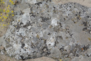 Closeup view of stone covered with lichen as background
