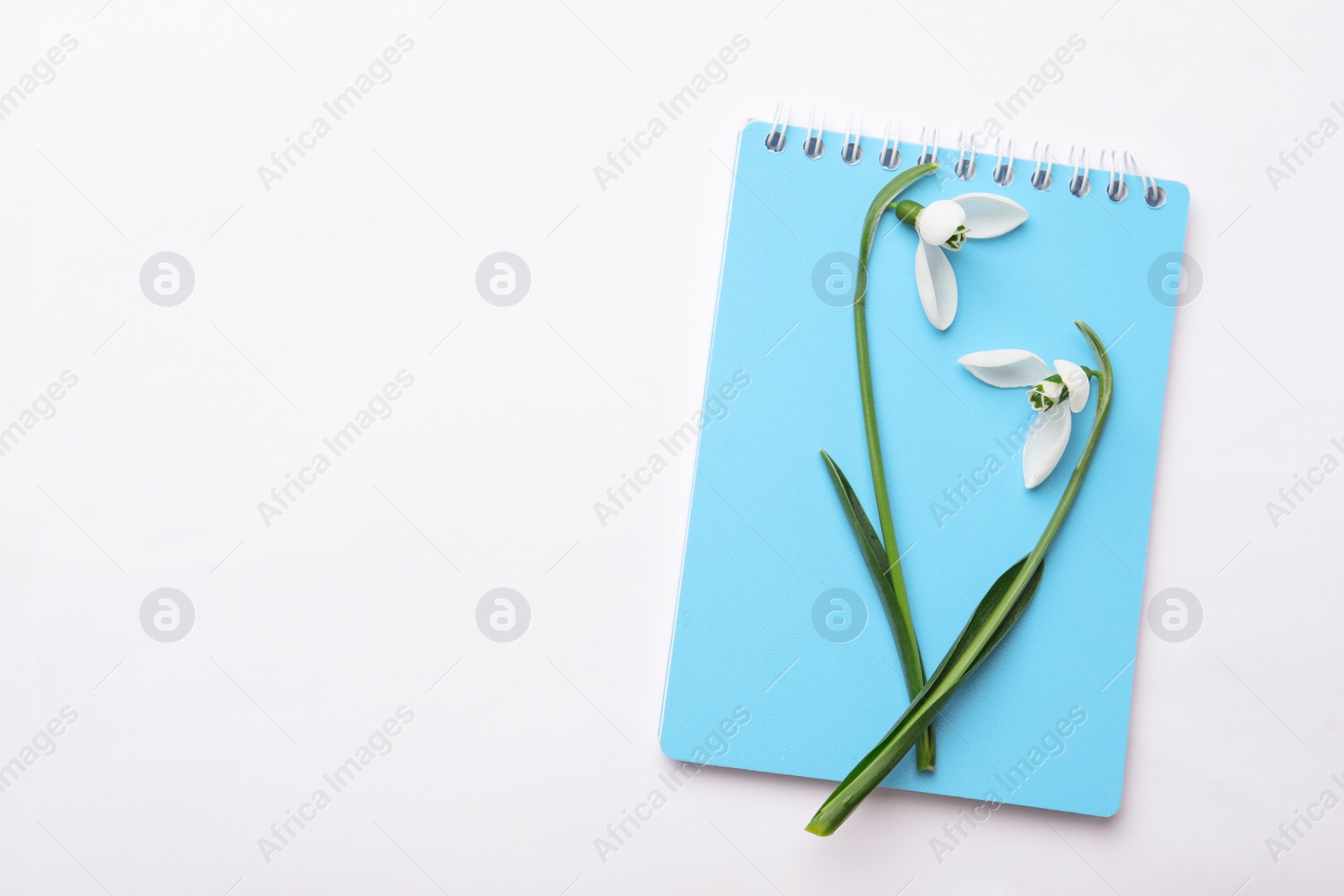 Photo of Beautiful snowdrops and notepad on white background, top view