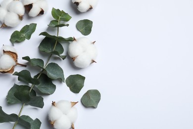 Fluffy cotton flowers and eucalyptus leaves on white background, flat lay. Space for text