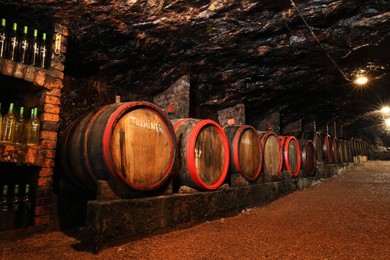 Bene, Ukraine - June 23, 2023: Many wooden barrels with alcohol drinks in cellar