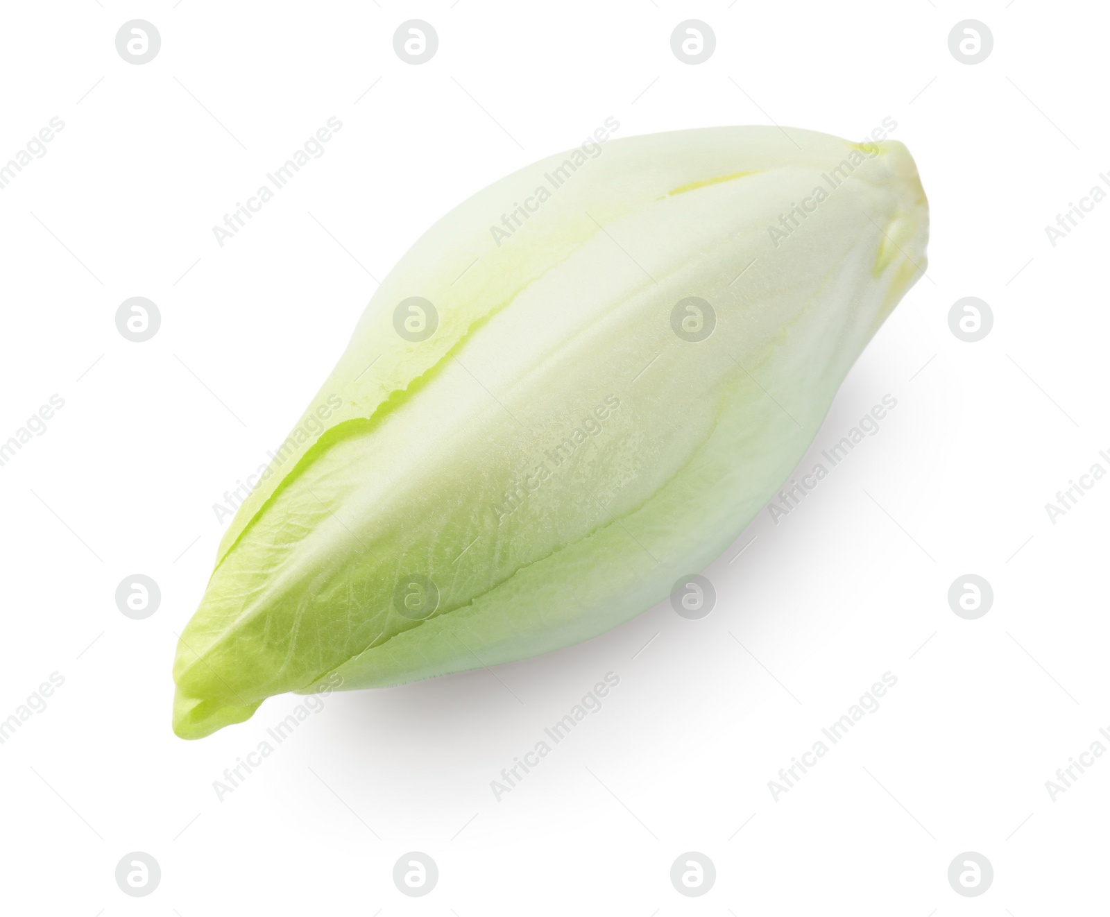 Photo of One raw ripe chicory isolated on white