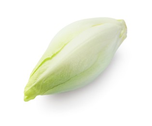 Photo of One raw ripe chicory isolated on white