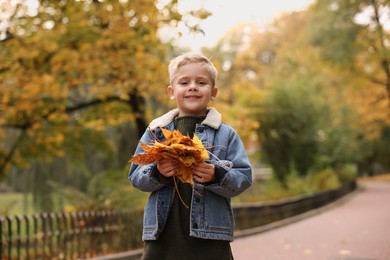 Photo of Portrait of cute little boy with dry leaves in autumn park
