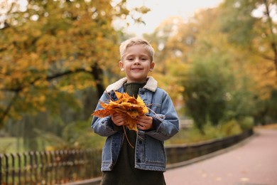 Portrait of cute little boy with dry leaves in autumn park