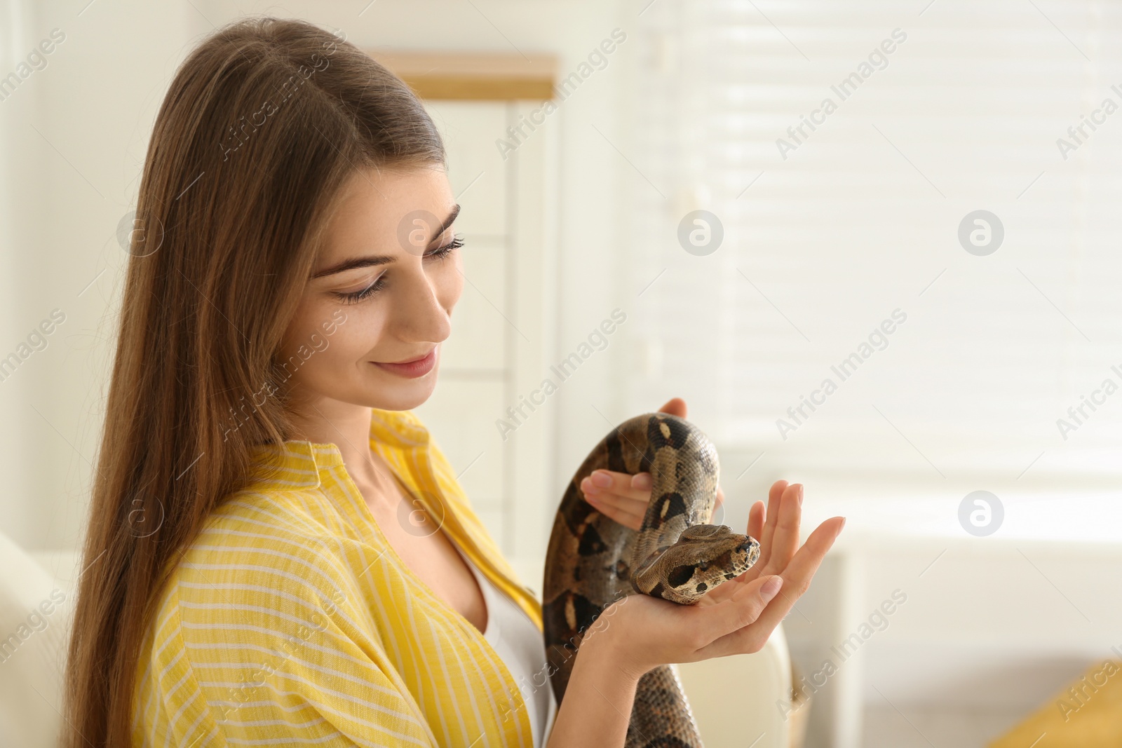 Photo of Young woman with boa constrictor at home. Exotic pet