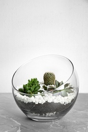 Photo of Glass florarium with different succulents on table against white background, space for text
