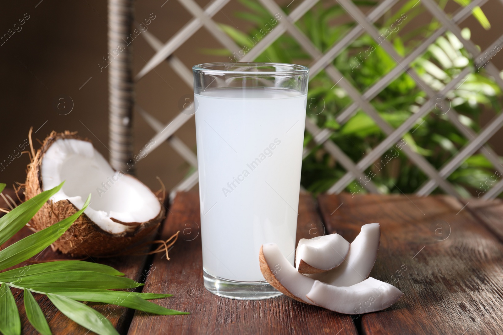 Photo of Glass of coconut water, leaf and nuts on wooden table