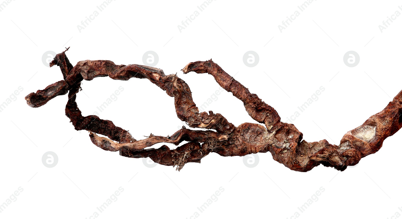 Photo of Old dry tree branch isolated on white, top view