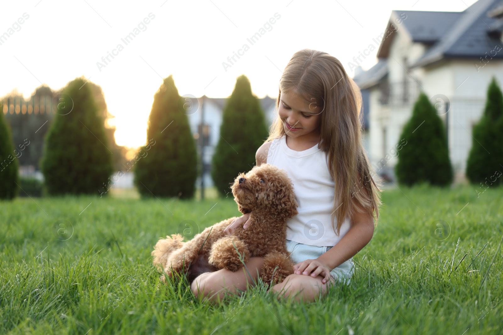 Photo of Beautiful girl with cute Maltipoo dog on green lawn in backyard